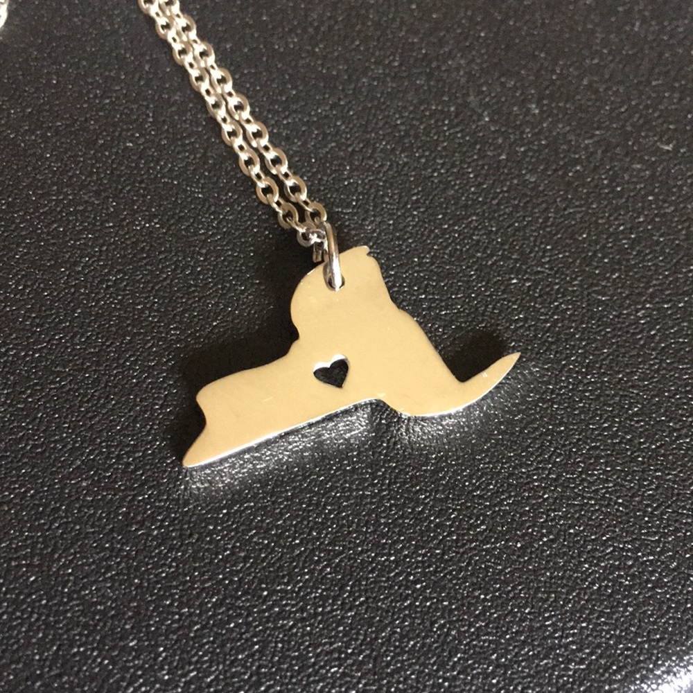 🗽New York State Necklace- silver tone